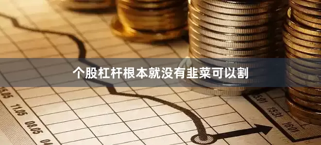 个股杠杆根本就没有韭菜可以割