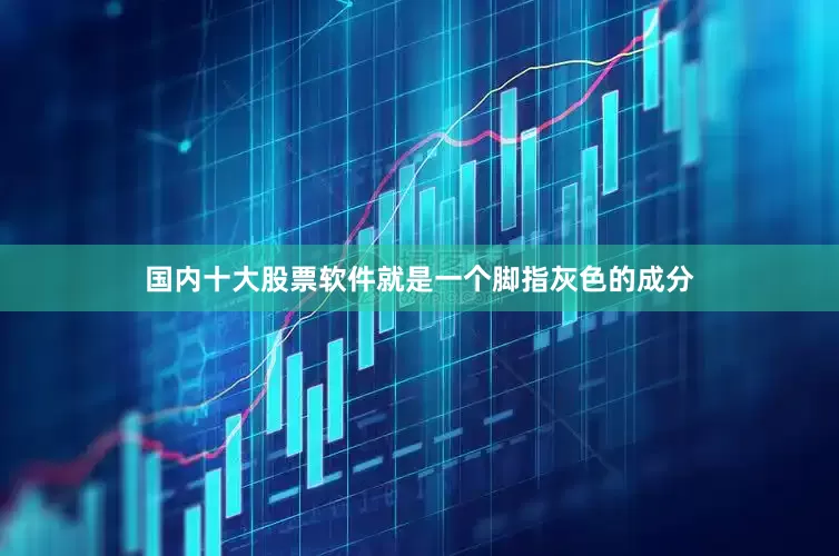 国内十大股票软件就是一个脚指灰色的成分
