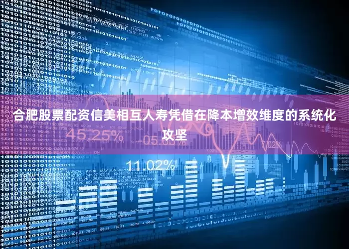 合肥股票配资信美相互人寿凭借在降本增效维度的系统化攻坚